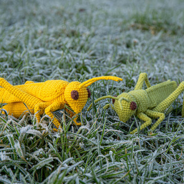 Grasshopper