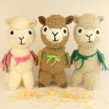 Alicia the Alpaca
