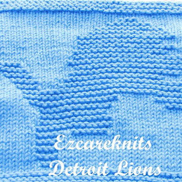 Detroit Lions