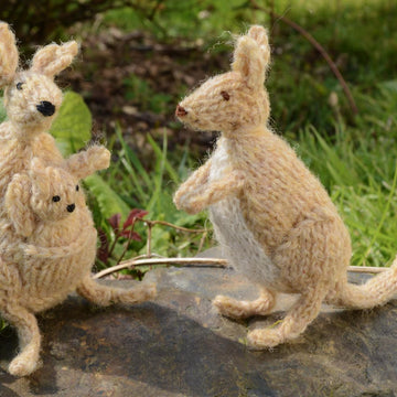 Kangaroo Family