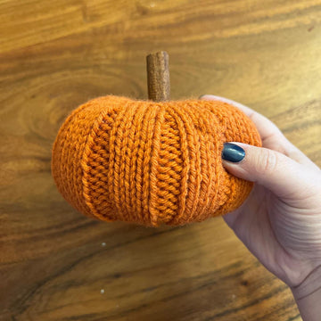 Autumn Pumpkin