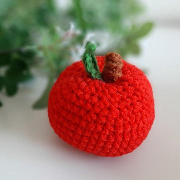 10 crochet fruits set