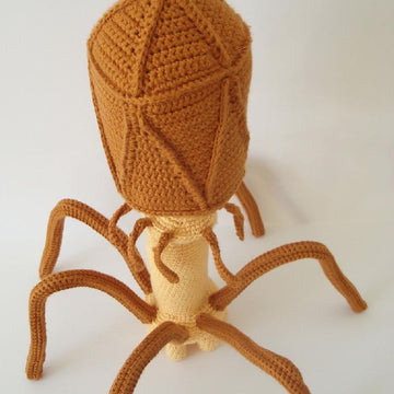 Bacteriophage Virus Crochet Pattern