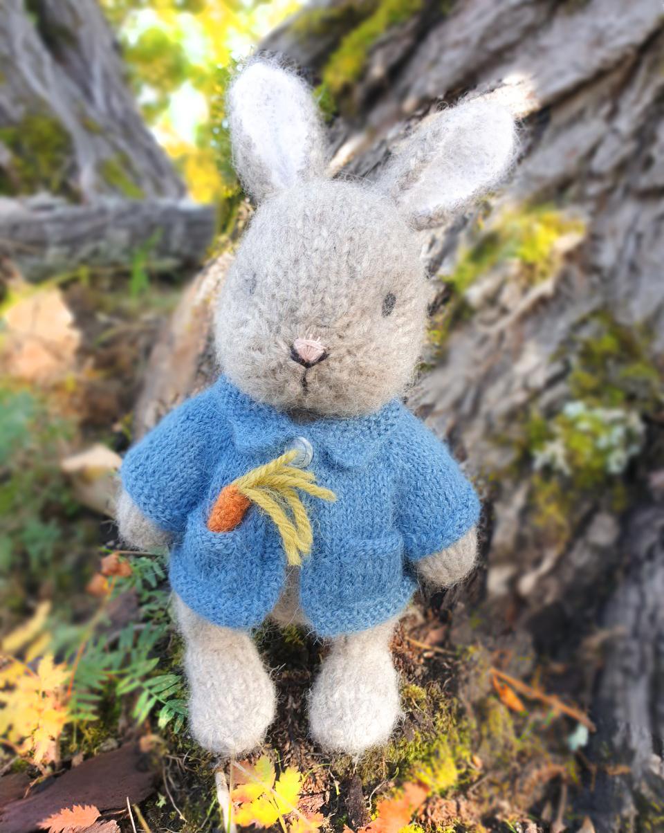 Bunny Rabbit in Blue Jacket