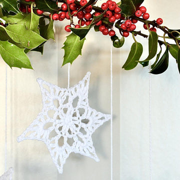 Winter Star Wall Hanging