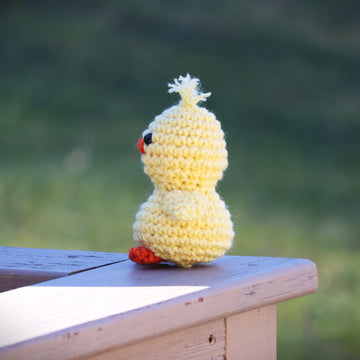 Easter Chick