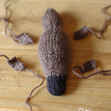 Little Platypus