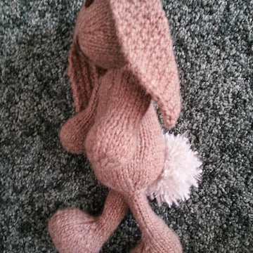 Bunny rabbit