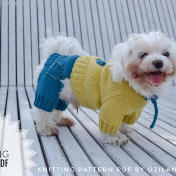 Minion jumpsuit for dog