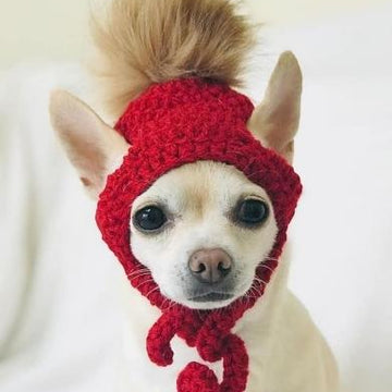 Crochet Chihuahua Hat