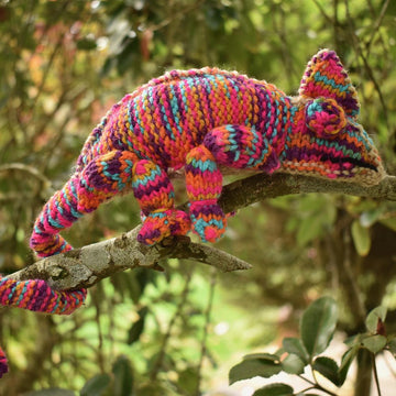 Chameleon