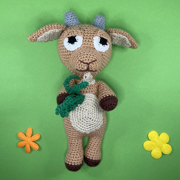 Zodiac Capricornus
