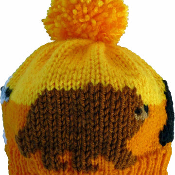 North American Bears Hat