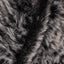 CH05