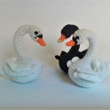 Swan