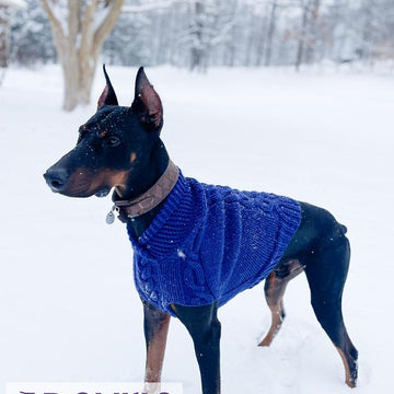 Gentleman's Dog Sweater