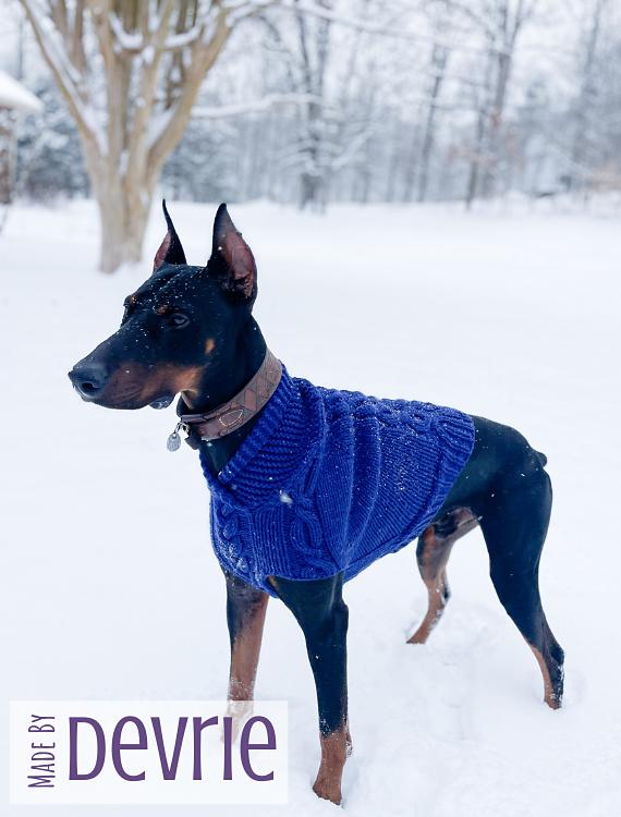 Gentleman's Dog Sweater