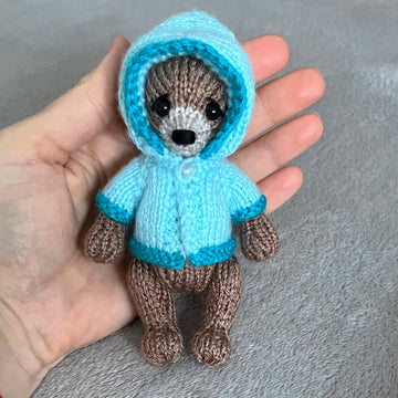 Mini Teddy in a coat