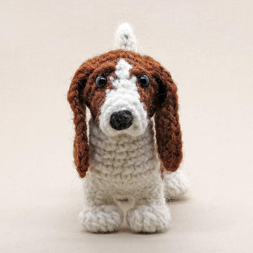 Sjuffel the Basset Hound