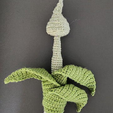 Leek with flower pod