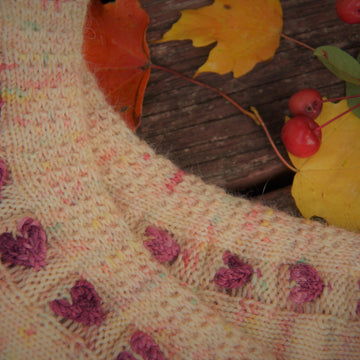 Cozy Comforts