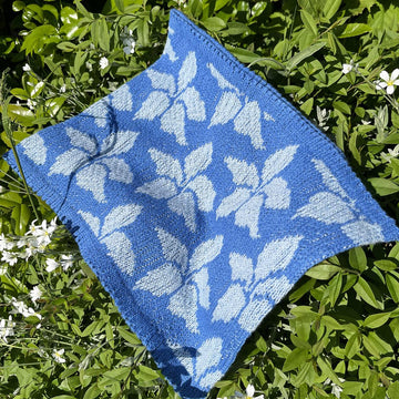 Poinsettia Cowl