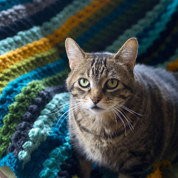 Bobble Bedspread