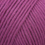 Fuchsia (32)