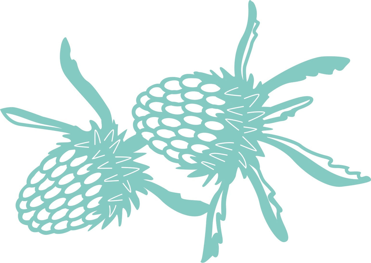 Kaisercraft Decorative Die - Banksia