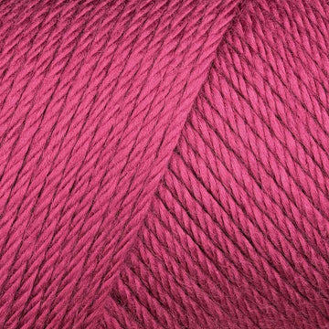 Fuchsia (9764)