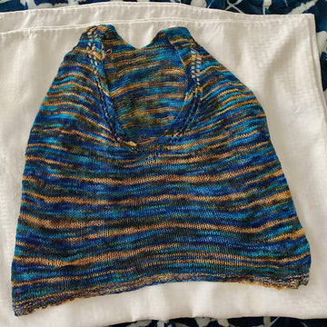 Beach Day Crop Top