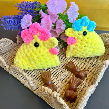 Sally The Spring Chicken
