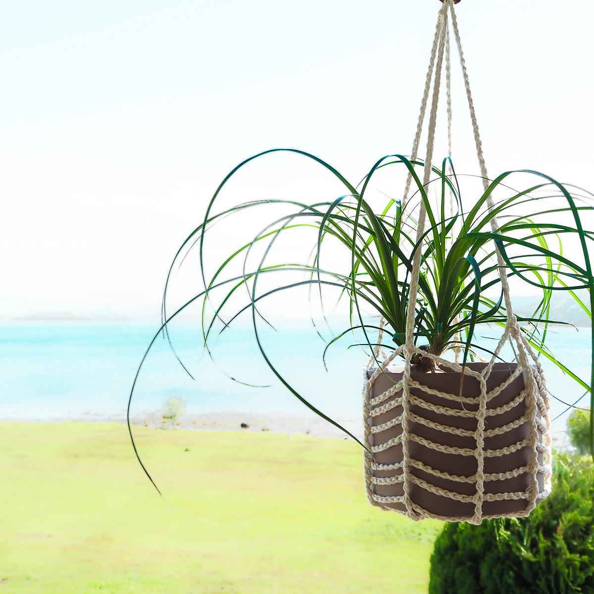 Easy Plant Hanger