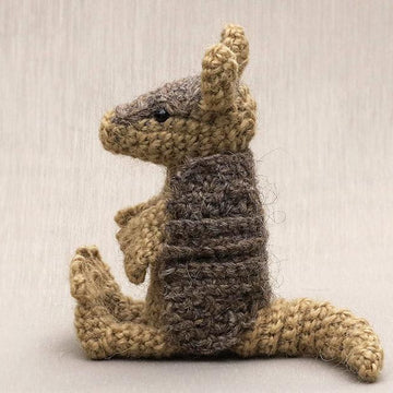 Oakie the armadillo