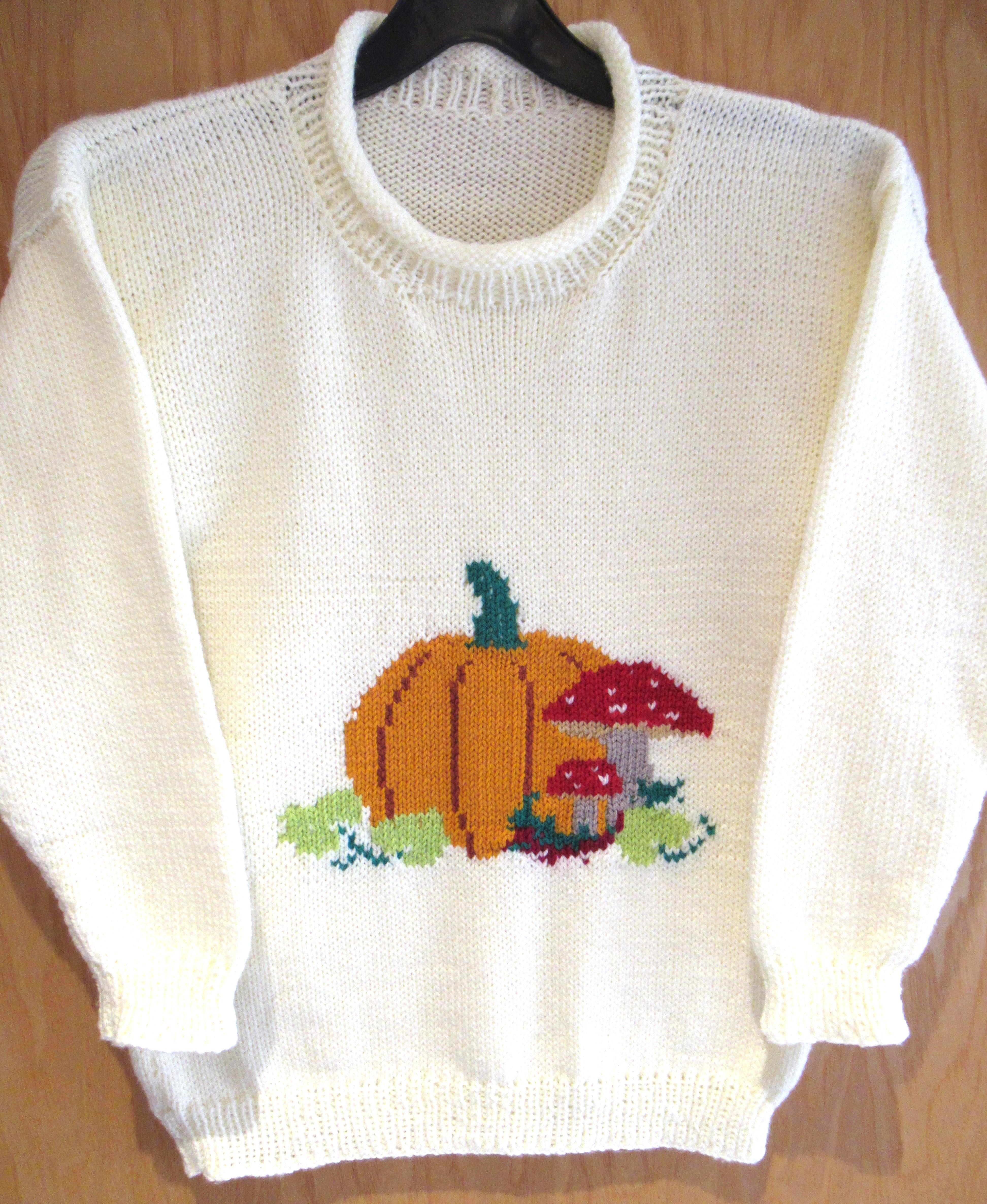 Child's Pumpkin & Mushroom Motif Jumper