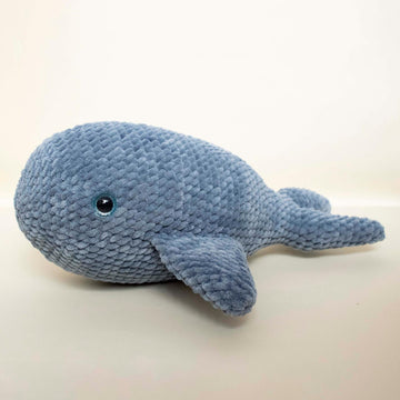 Chunky whale