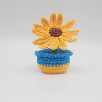 Ukraine Sunflower