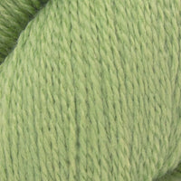 Eucalyptus (1127)