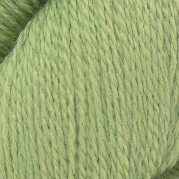 Eucalyptus (1127)