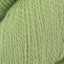 Eucalyptus (1127)