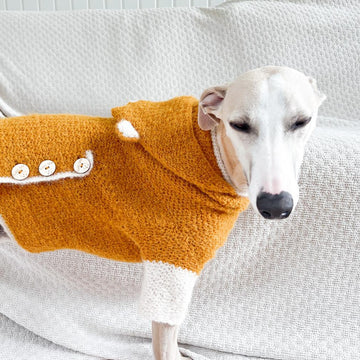 Doggo no 19 sweater