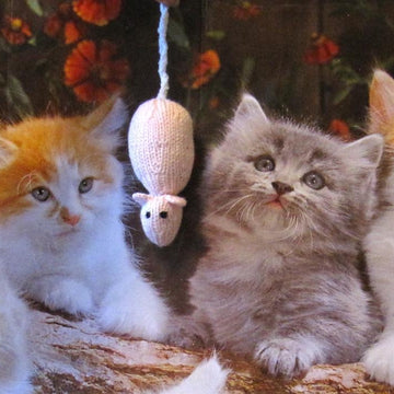 Sugar Mouse Cat Toy