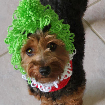 Grinch Inspired Dog Hood