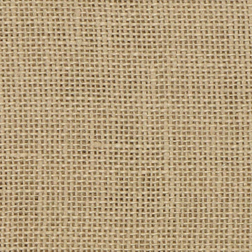 Golden Needle