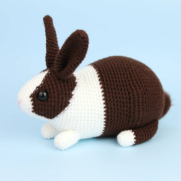 Dutch rabbit