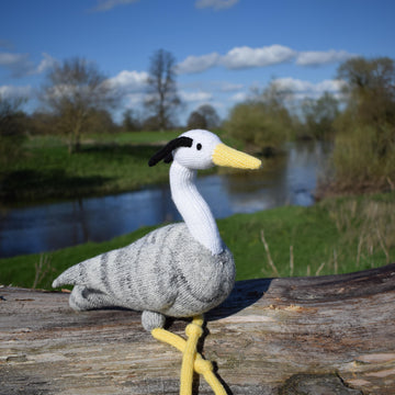 Sonia the Heron