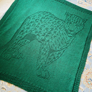 Leopard Blanket