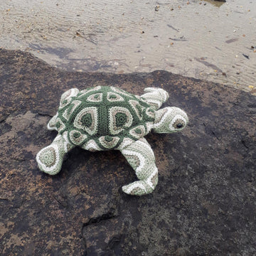 Hearty Turtle