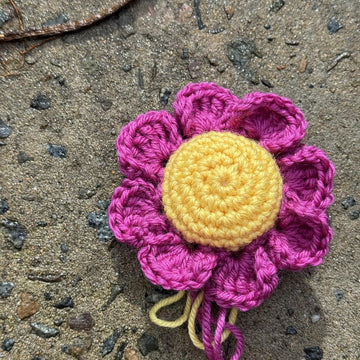 3D Daisy