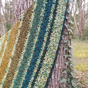 Ned's Dye-Pot Shawl